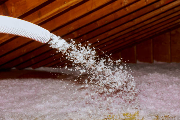 Best Geographic-Specific Insulation Services in High Ridge, MO