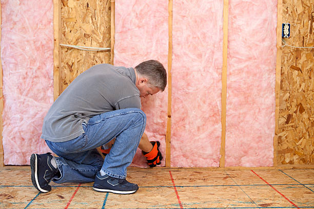 Best Specialized Insulation Services in High Ridge, MO